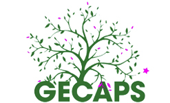 LOGO CAP SECURITE 2025